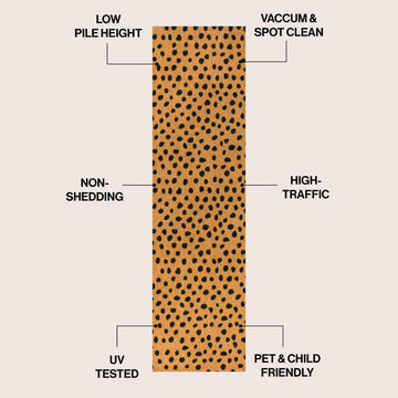 Daphne Modern Classic Animal-spot Bordered Coir Area Rug